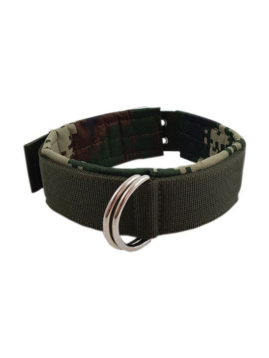 Dog Collar Green