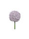 Kaemingk Artificial Decorative Branch Allium Purple 81cm 1pcs