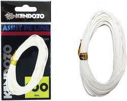 Kendozo Lures Fischereifaden 4m / 60kg
