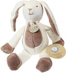 Synchronia Plush Bunny 27 cm