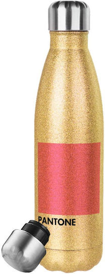 Pantone Bottle Thermos Stainless Steel 500ml Gold with Straw