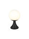 V-TAC Outdoor Globe Floor Lamp 60W IP44 for E27 Socket Black