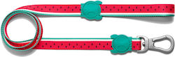 Zee-Dog Λουρί/Οδηγός Σκύλου Ιμάντας 1.2m x 1cm Zee-Dog Λουρί/Οδηγός Σκύλου Ιμάντας 1.2m x 1cm