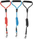 Tatrapet Dog Leash/Lead Strap in Orange color