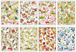 Blasetti Ruled Notebook A4 40 Sheets Multicolour