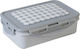 Saro Vichy Plastic Kids Food Container 0.55 Litre Gray 12 x 12 x 5.5 cm