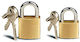 Mizoo Padlock Brass with Key 25mm 1pcs