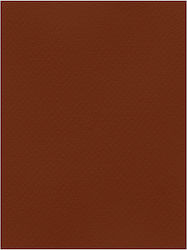 Favini Karton 70x100cm Braun