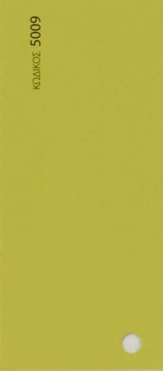 Chroma Double-Sided Canson Cardboard 50x70cm Green