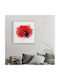Walls Poster Κάδρο Ξύλινο 80x80cm