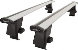 Farad (with Roof Rack Legs and Lock) Silver