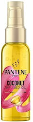Pantene Coconut 100ml Pantene Coconut 100ml