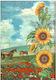 Stamperia A4 Decoupage Rice Paper
