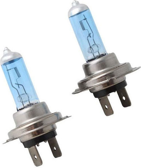 Lamps Car H7 Halogen 5500K Cold White 12V 55W 2pcs