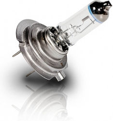 Chaft Lamp H7 Halogen