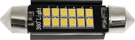 Carsun Lamps Car & Motorcycle C5W LED 6000K Cold White 12V 1pcs