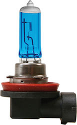 Moto Discovery Lamp H11 Halogen White