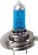 Moto Discovery Lamps Car H7 Xenon 4000K Natural White 12V 55W 1pcs