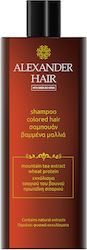 Alexander Hair Σαμπουάν Διατήρησης Χρώματος 500ml Alexander Hair Σαμπουάν Διατήρησης Χρώματος 500ml