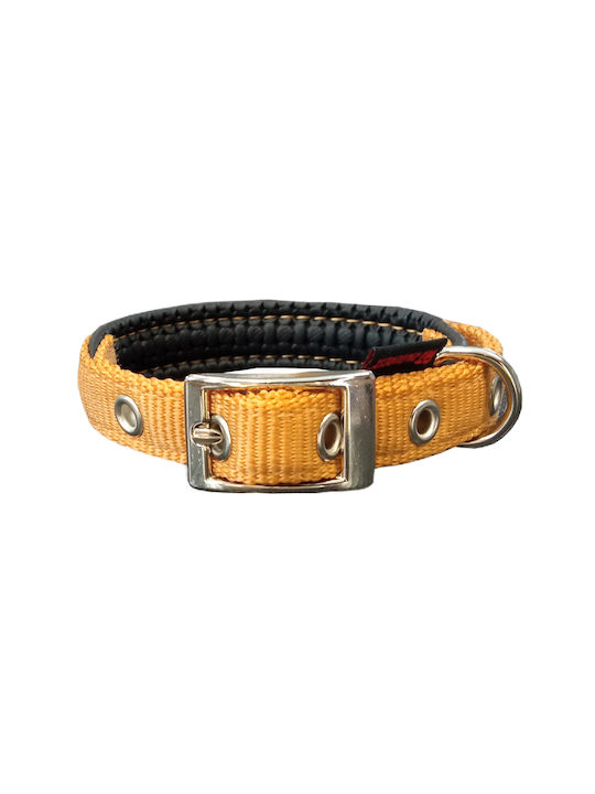 Pet Interest Κολάρο Σκύλου σε Χρυσό χρώμα Medium 20mm x 50cm