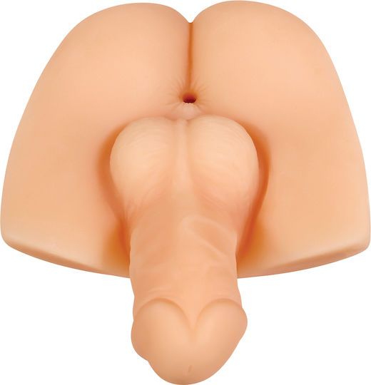 Evolved Novelties Geschlecht X Backdoor Bash Masturbator Hintern