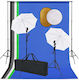 vidaXL Kit De Iluminare 24W 5500K Cu Trepied