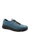 Anatomical Sneakers Blue