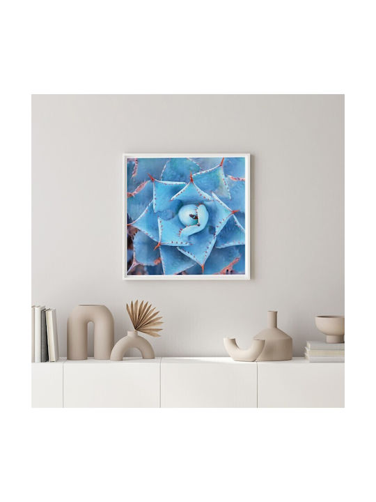 Walls Cactus Plant Frame Wooden 70x70cm