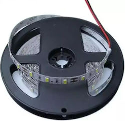 Stimeno LED Лента 12V със Студено бяло Светлина 1м Stimeno LED Лента 12V със Студено бяло Светлина 1м