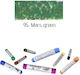 Renesans Creion colorat Verde