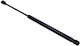 Magneti Marelli Trunk Shock for Toyota Carina Honda e
