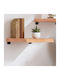 Shelf Wall Beige 40x60x6cm