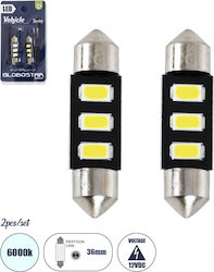 GloboStar Лампи Автомобила C5W LED 6000К Хладно...