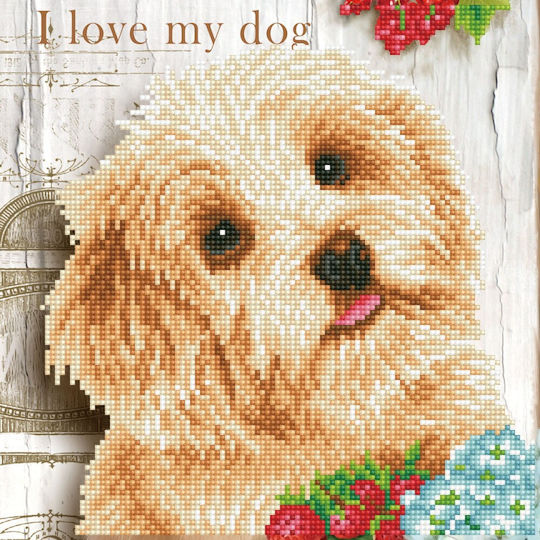 Diamond Dotz Diamond Painting Kit cu Ramă 30.5x30.5cm