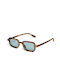 AV Sunglasses Kaia Women's Sunglasses with Plastic Frame Brown Green