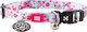 Max & Molly Cherry Bloom Katzenhalsband Rosa