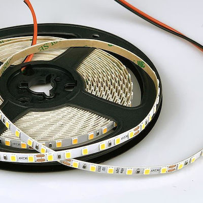 Eurolamp Bandă LED Alimentare 24V cu Lumină Alb Cald Lungime 5m și 120 LED-uri pe Metru SMD2835