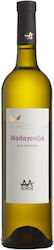 Sokos Malagouzia White Wine 750ml Sokos Malagouzia White Wine 750ml
