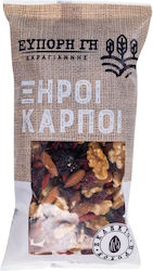 Εύπορη Γη Mix Ξηρών Καρπών & Αποξηραμένων Φρούτων Φάκελος 250gr