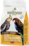 Padovan Birds Food for Medium Parrots 850gr