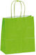 Matalon Paper Bag for Gift Green 18x8x20cm.