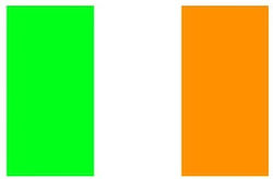 Flag of Ireland 70x50cm