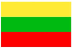 Flag of Lithuania 100x70cm