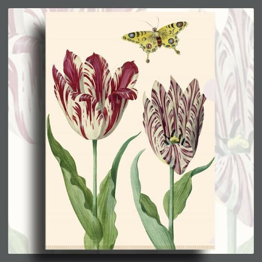 Bekking & Blitz Clipboard Bifold for Paper A4 Multicolour 1pcs
