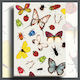 Bekking & Blitz Clipboard Bifold for Paper A4 Multicolour 1pcs