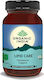 Organic India Lipid Care Ειδικό Συμπλήρωμα Διατροφής 90 φυτικές κάψουλες