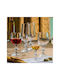 Crystalite Bohemia Set of Glasses for White and Red Wine made of Crystal Stemmed 36pcs
