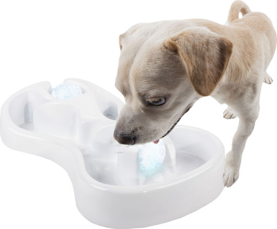 All For Paws Plastic Bowl Food & Water for Dog & Cat in White Color