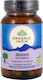 Organic India Brahmi Gotu Kola 90 φυτικές κάψουλες