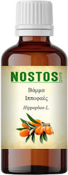 Nostos Pure Sea Buckthorn Tincture Hippophaes 30ml